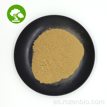 Polifenoles de alta calidad extracto de ajo negro